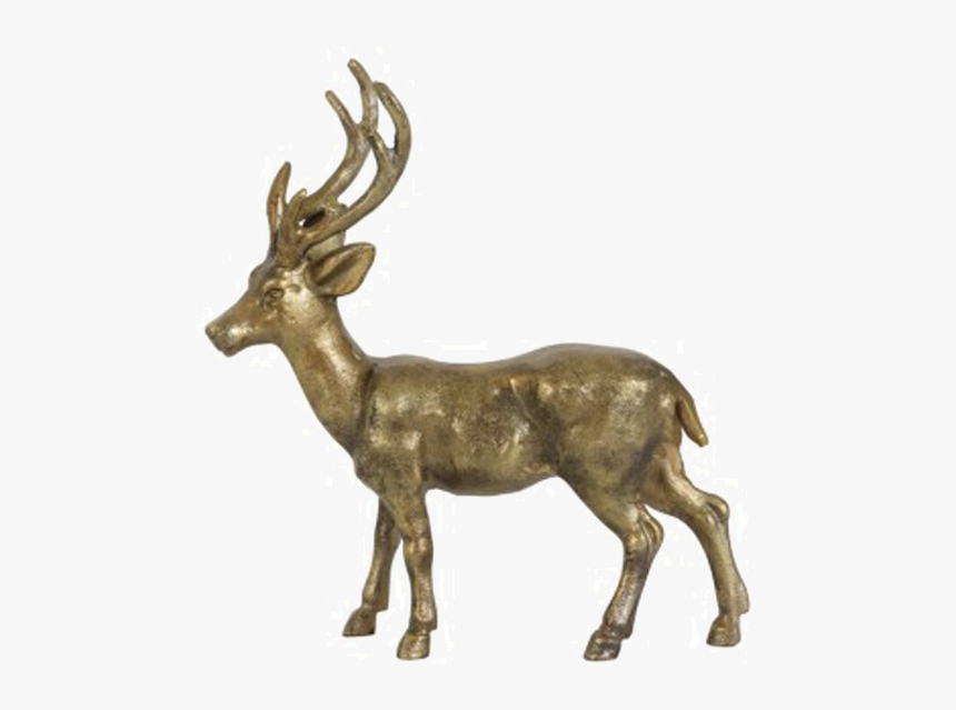 Red Deer Table Reindeer Elk - Elk, HD Png Download