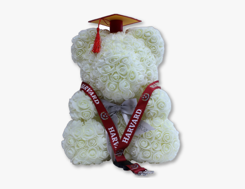 Academic Dress, HD Png Download