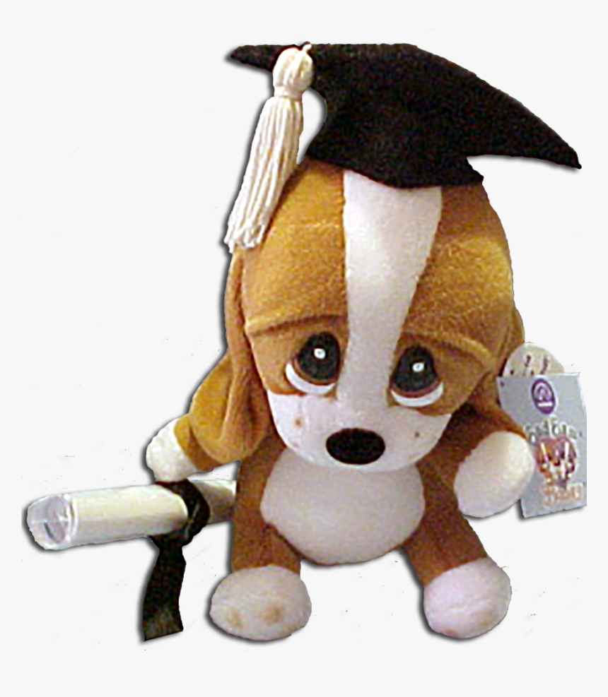 Graduation Plush Sad Sam With Personable Diploma Basset - Sad Sam, HD Png Download