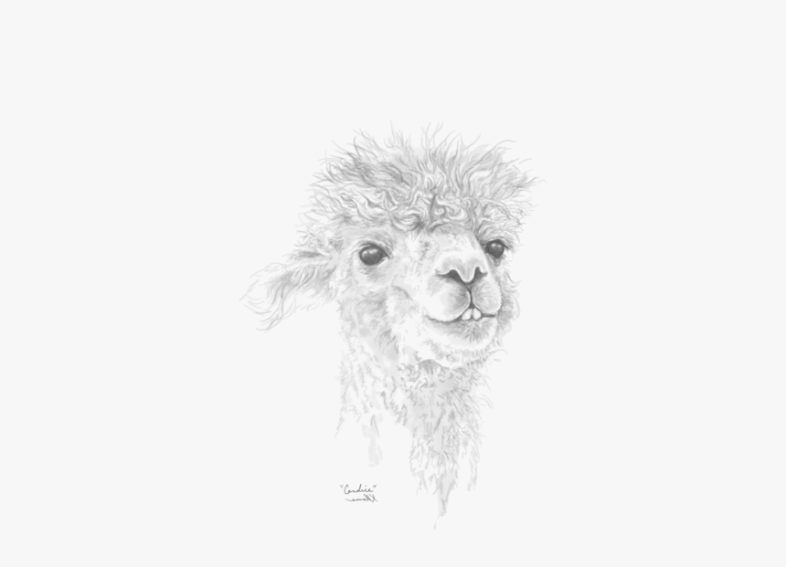 Sketch, HD Png Download