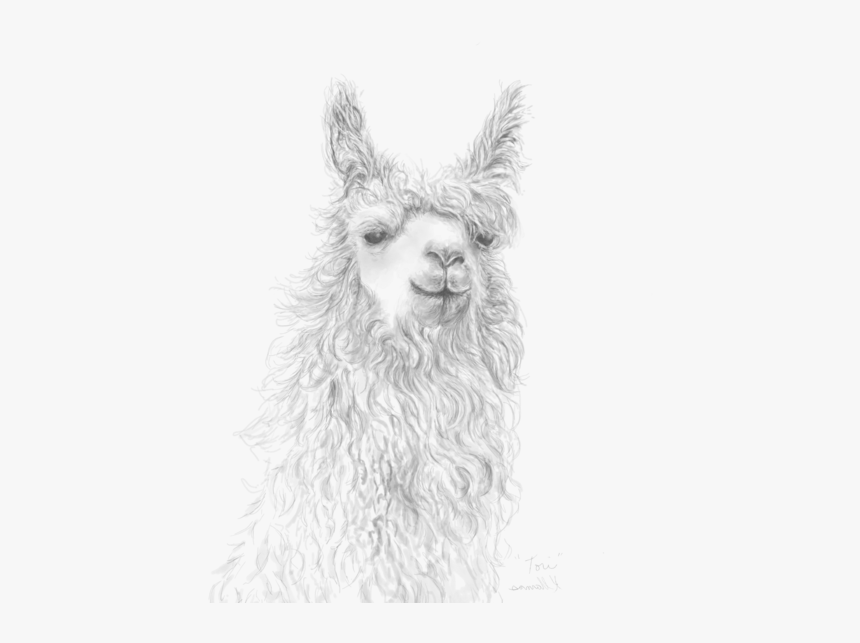 Drawing, HD Png Download