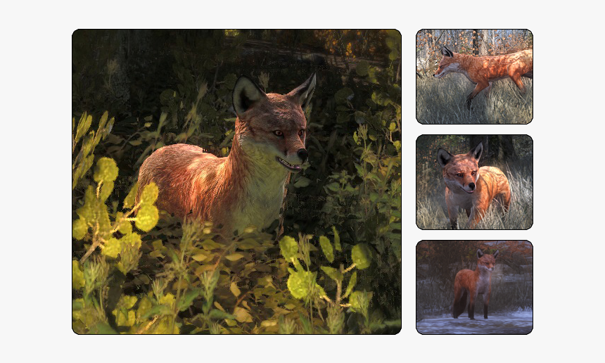 Thehunter Wikia - Hunter Call Of The Wild Red Fox, HD Png Download