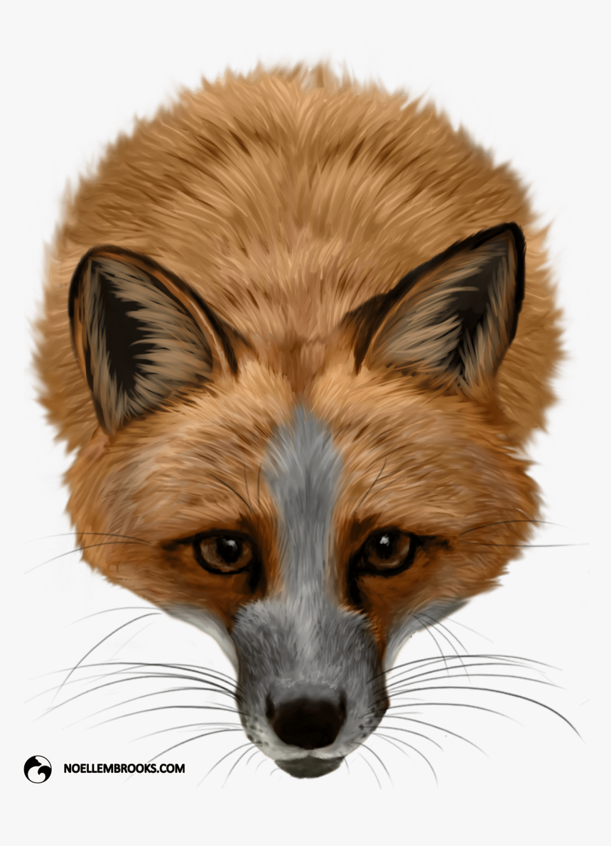 Pet Fox Cases - Domestic White Red Fox, HD Png Download