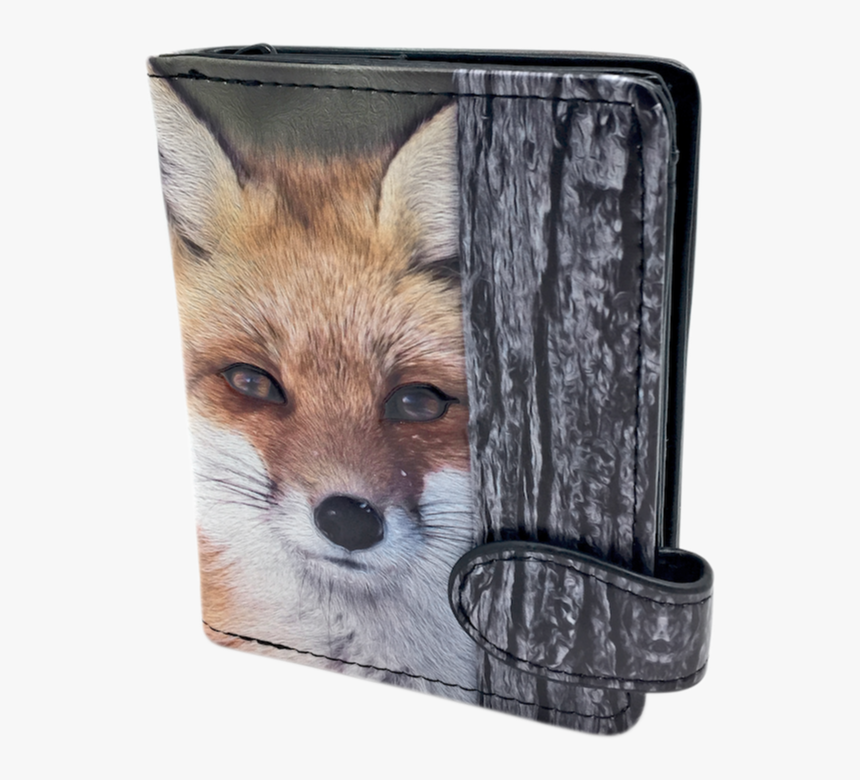 Red Fox, HD Png Download