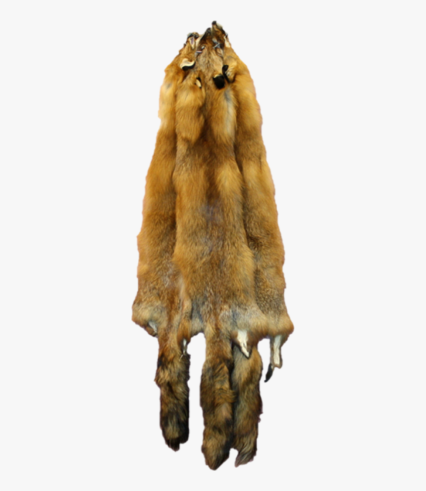 Quebec Wild Red Fox Pelt - Red Fox Pelt, HD Png Download