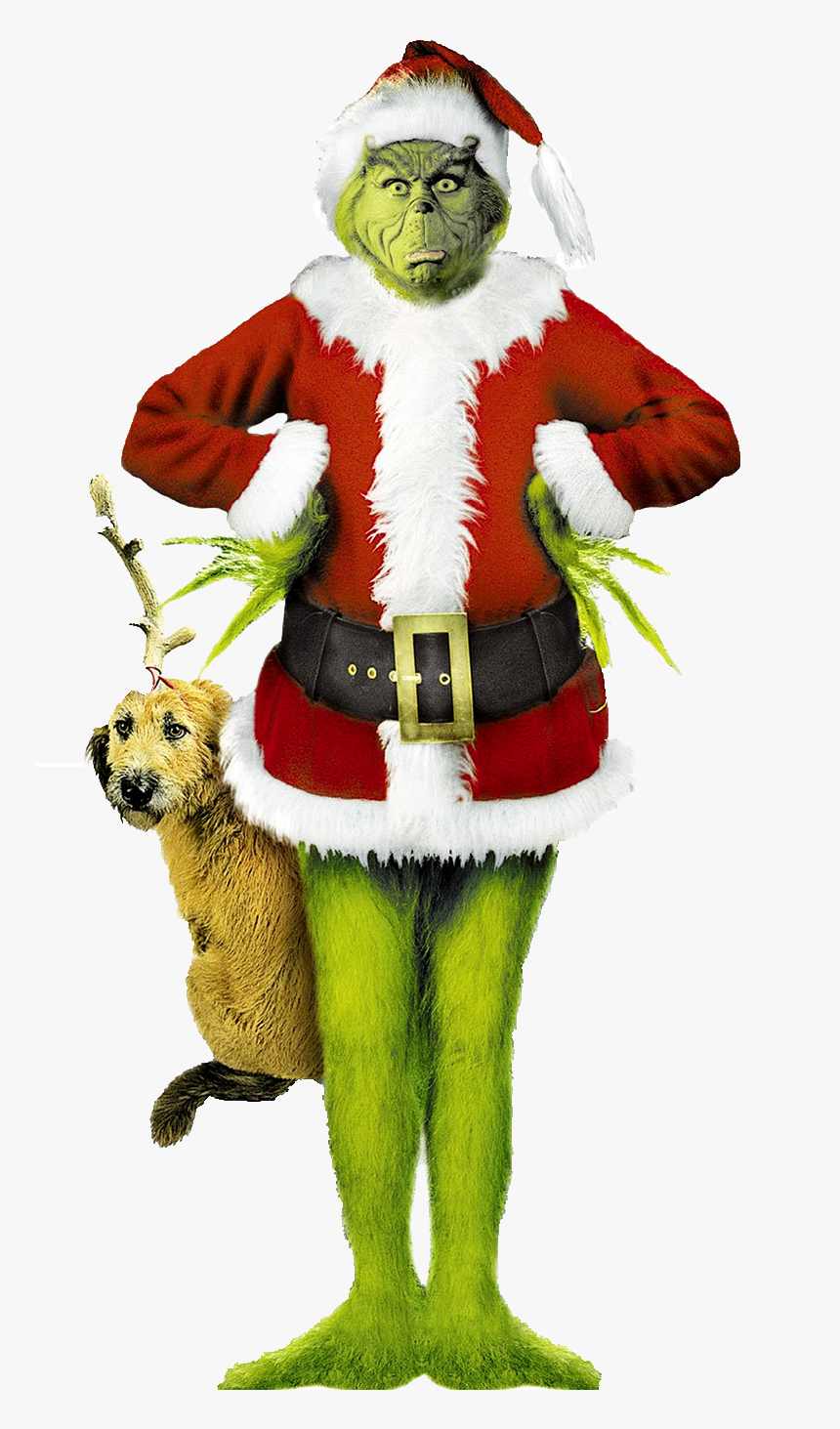 Grinch Jim Carrey , Png Download - Grinch Stole Christmas, Transparent Png