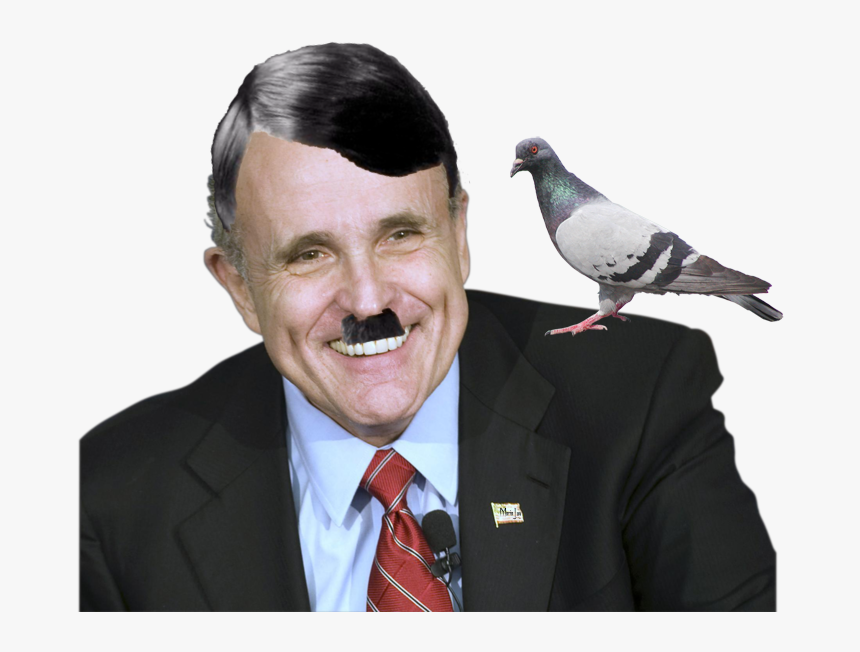 Transparent Jim Carrey Png - Pigeon, Png Download
