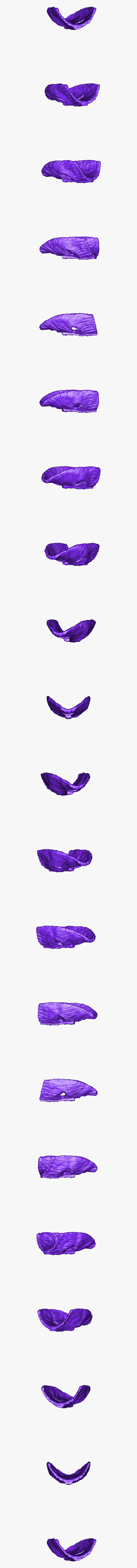Nail Care, HD Png Download