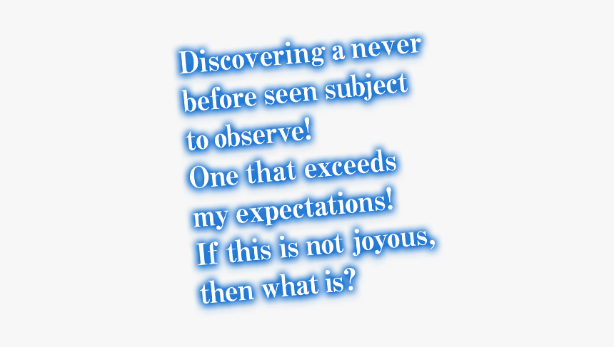 Colorfulness, HD Png Download