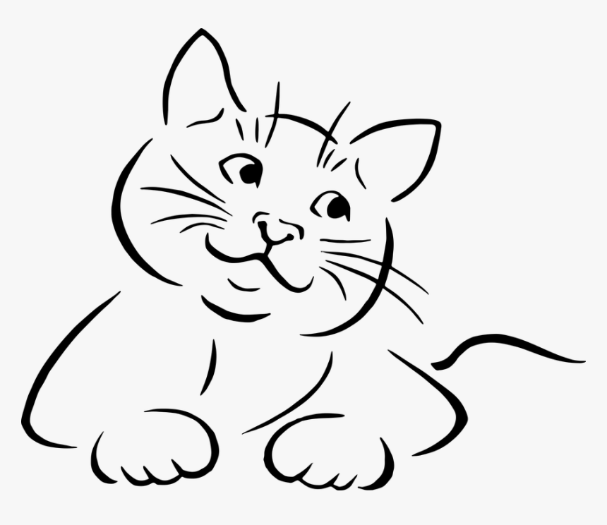 Animal, Cat, Drawing, Feline, Kitten, Kittie, Sketch - Line Art Cat Vector, HD Png Download