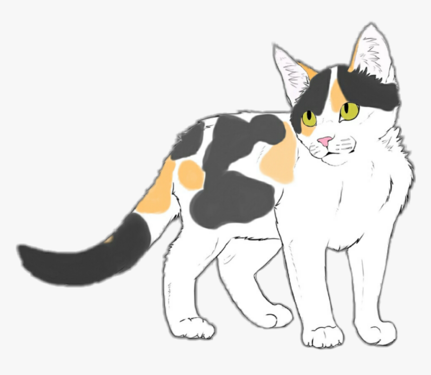 My Cat - Drawing - Domestic Short-haired Cat, HD Png Download