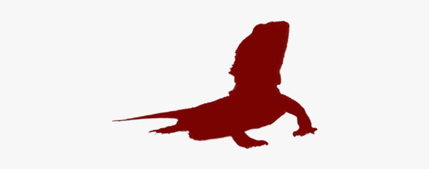 Transparent Bearded Dragon Clipart, Bearded Dragon - Illustration, HD Png Download