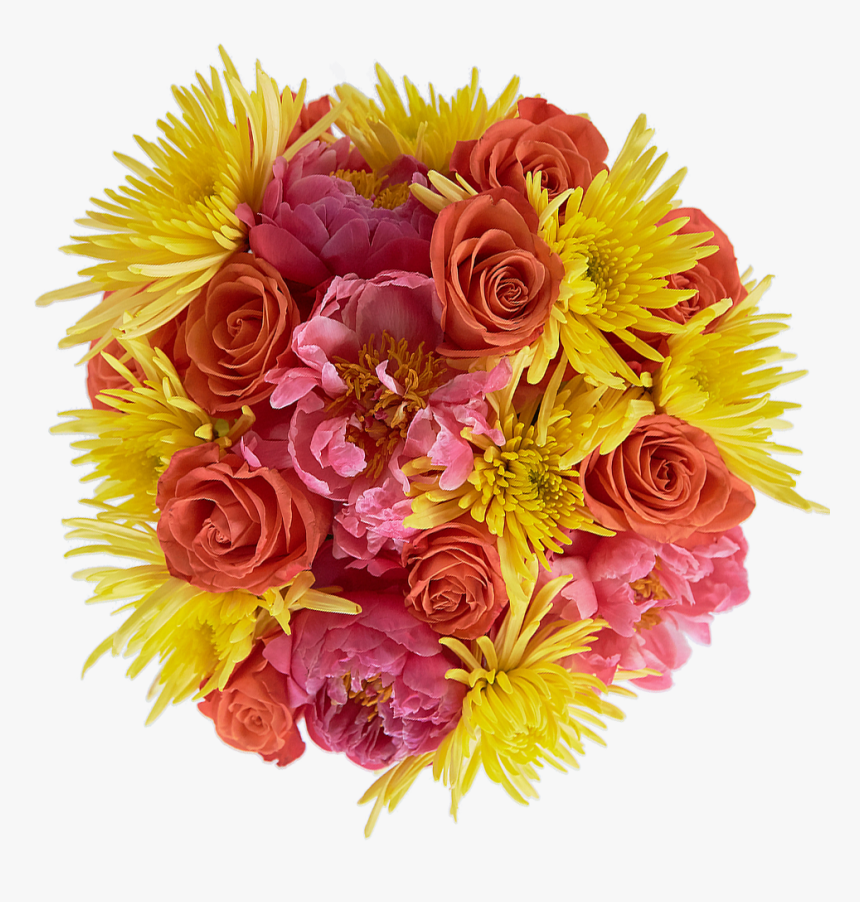 Floribunda, HD Png Download