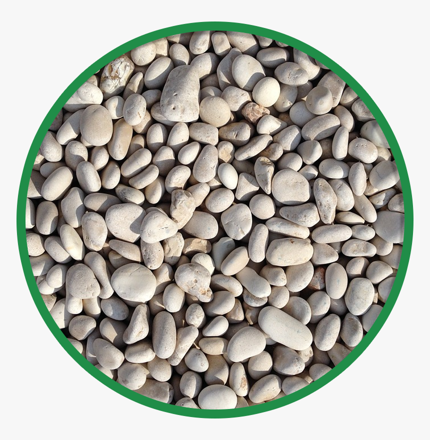 Wrestling Nashville Municipal Auditorium, HD Png Download