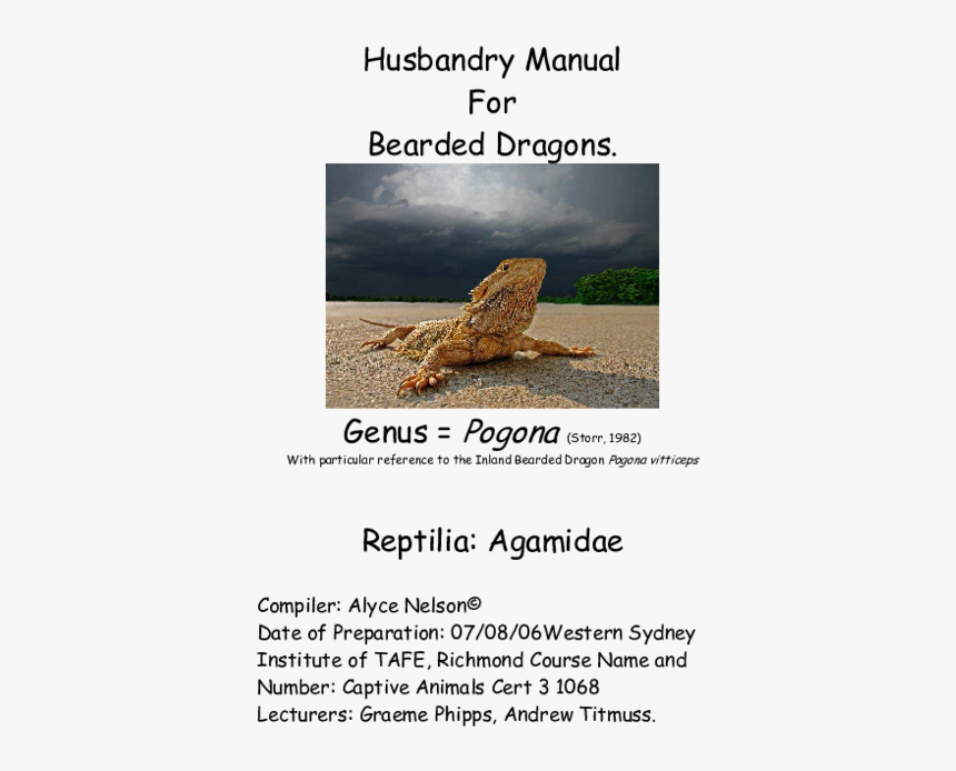Reptile, HD Png Download