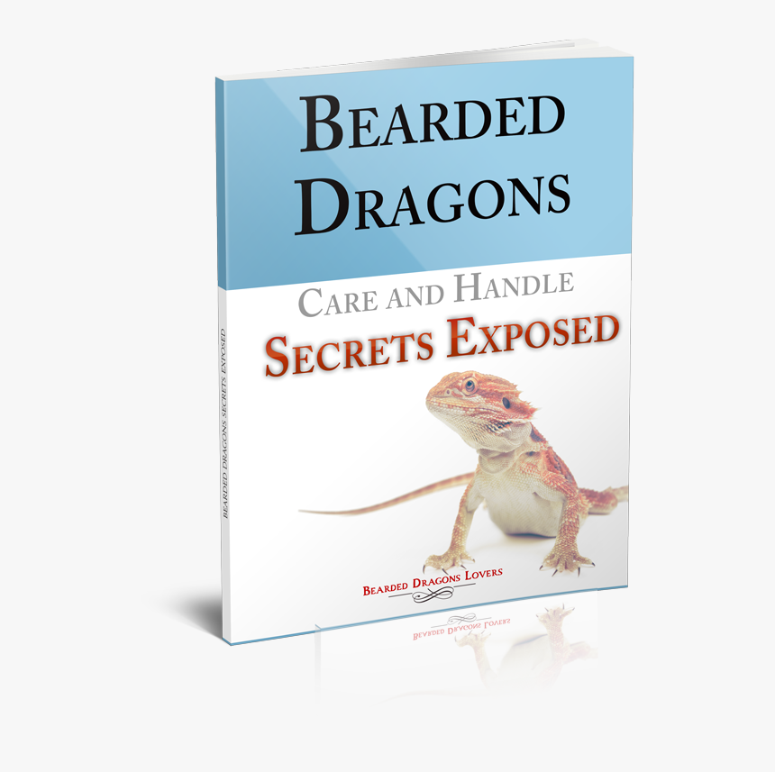 Amphibian, HD Png Download