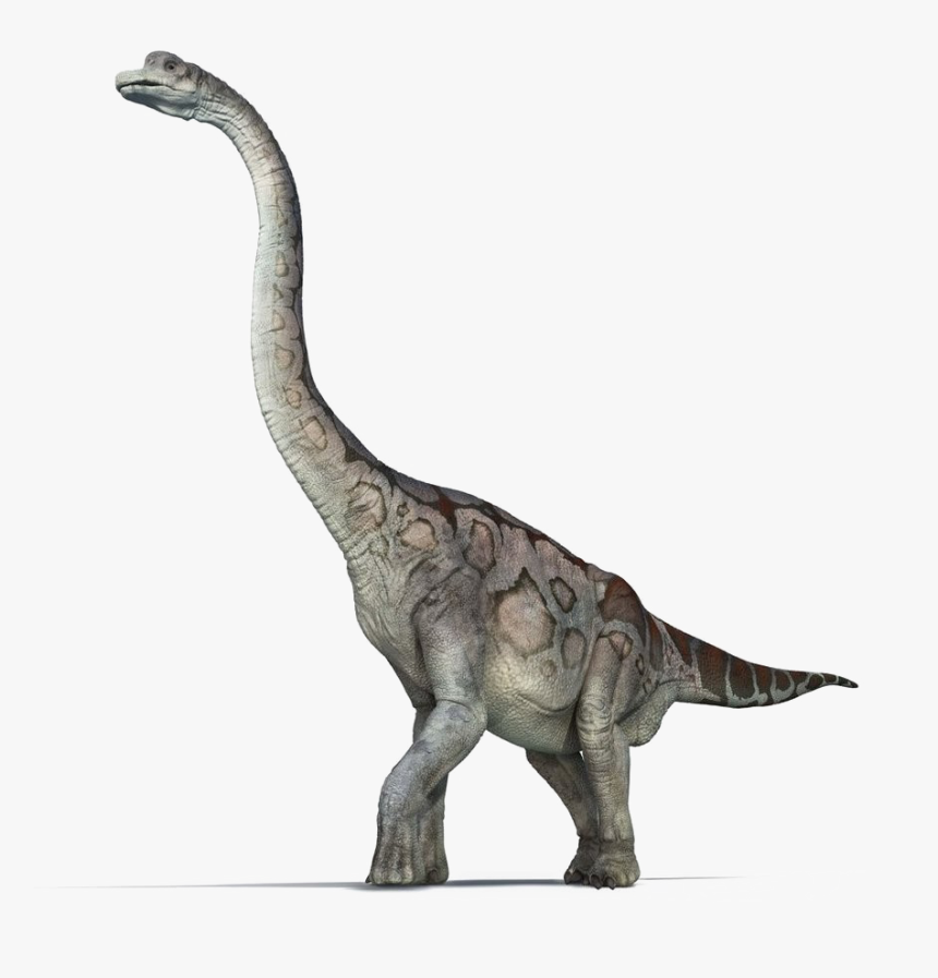 Brachiosaurus Png Pic - Brachiosaurus Png, Transparent Png