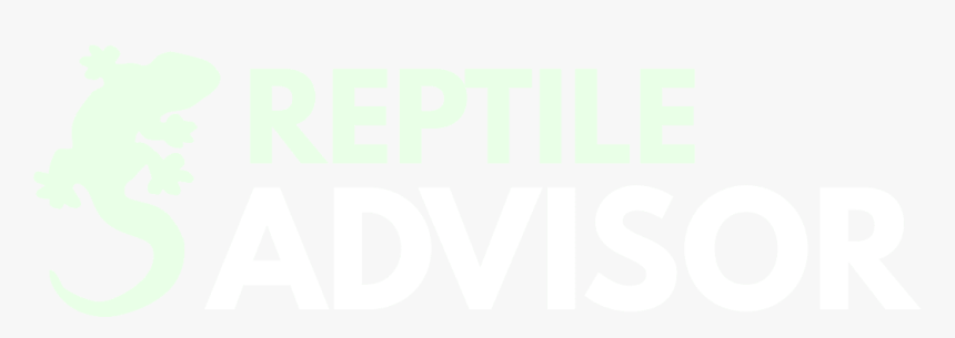 Reptile Advisor - Graphic Design, HD Png Download