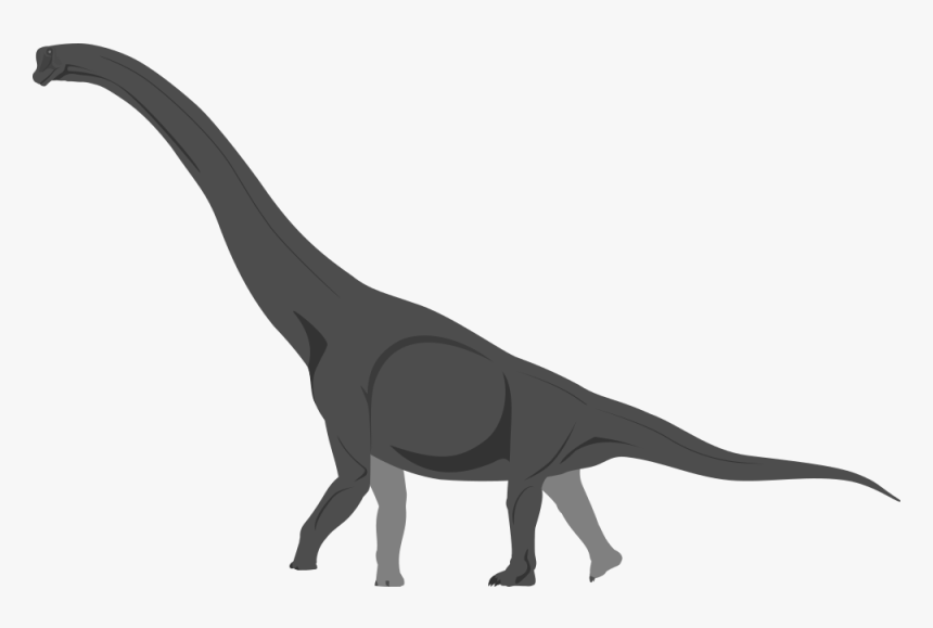 Brachiosaurus - Tyrannosaurus - Tyrannosaurus, HD Png Download