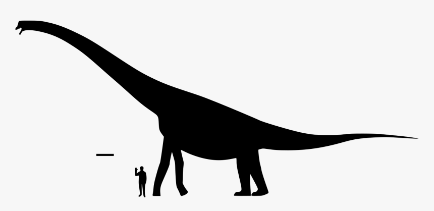 File - Brachiosaurus Size - Svg - Brachiosaurus Size 2019, HD Png Download