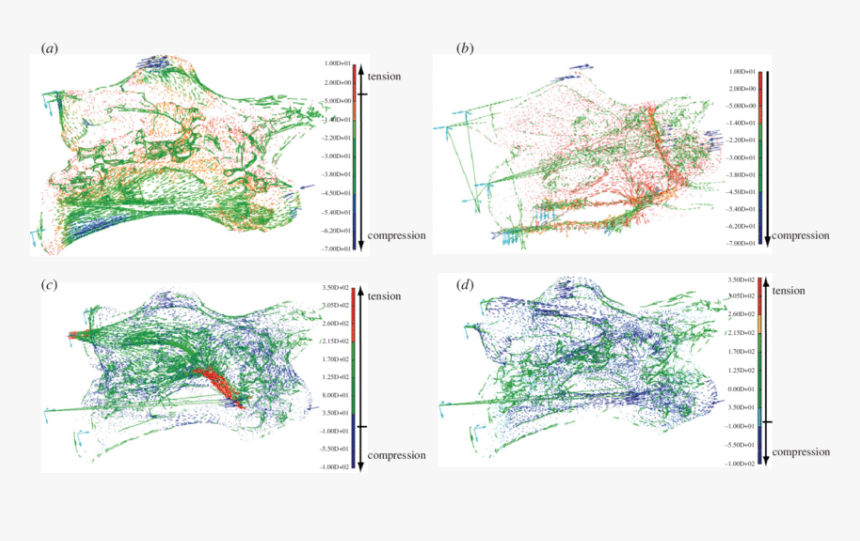 Atlas, HD Png Download