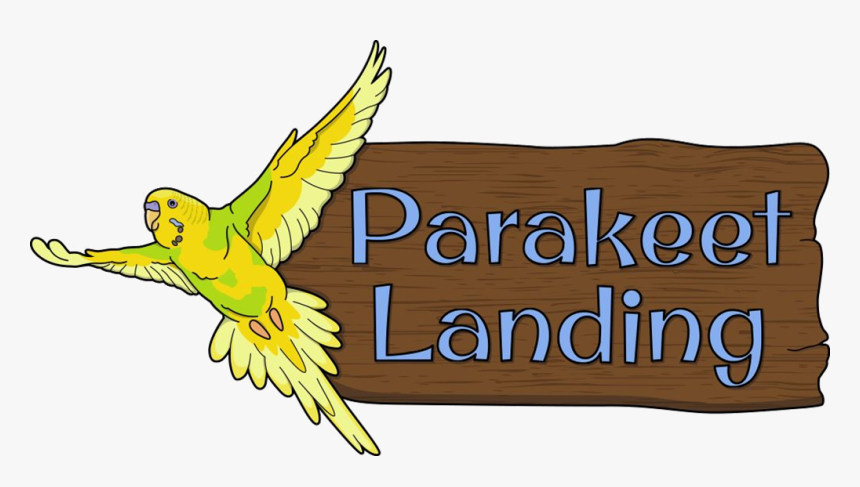 Parakeet Landing At Clyde Peeling S Reptiland - Parakeet, HD Png Download