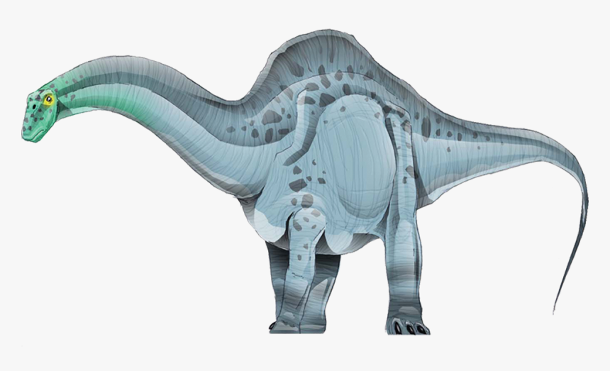 Apatosaurus, HD Png Download