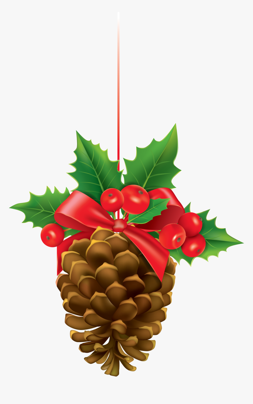 Christmas Pine Cone Vector, HD Png Download