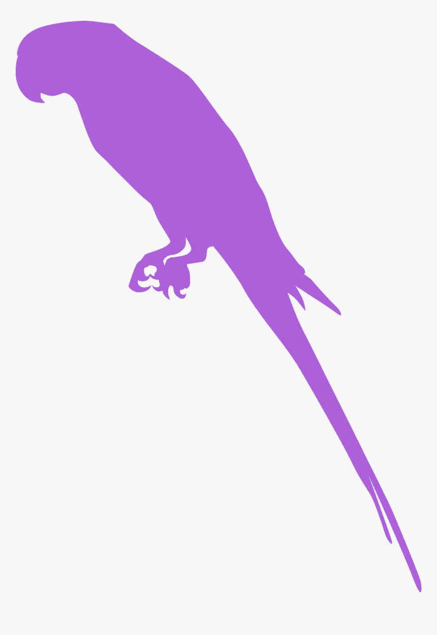 Parkiet Silhouet, HD Png Download