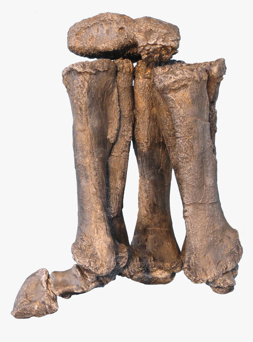 Wood, HD Png Download