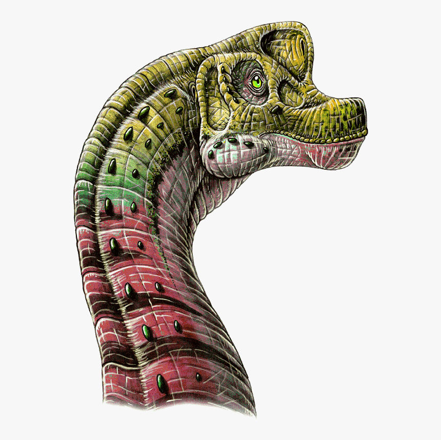 Giraffatitan Brachiosaurus Skull, HD Png Download