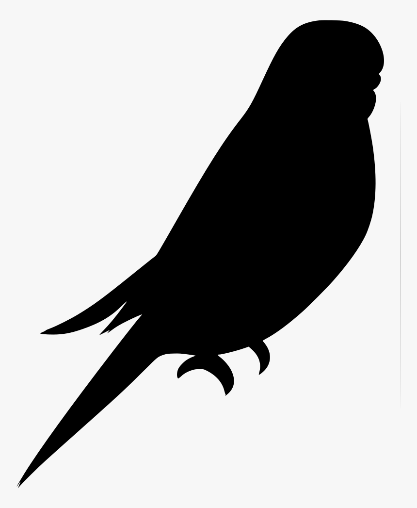Parakeet, HD Png Download