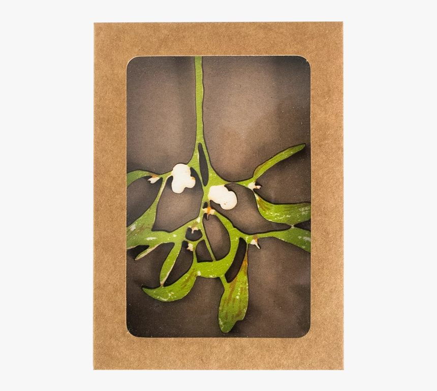 Bay Laurel, HD Png Download