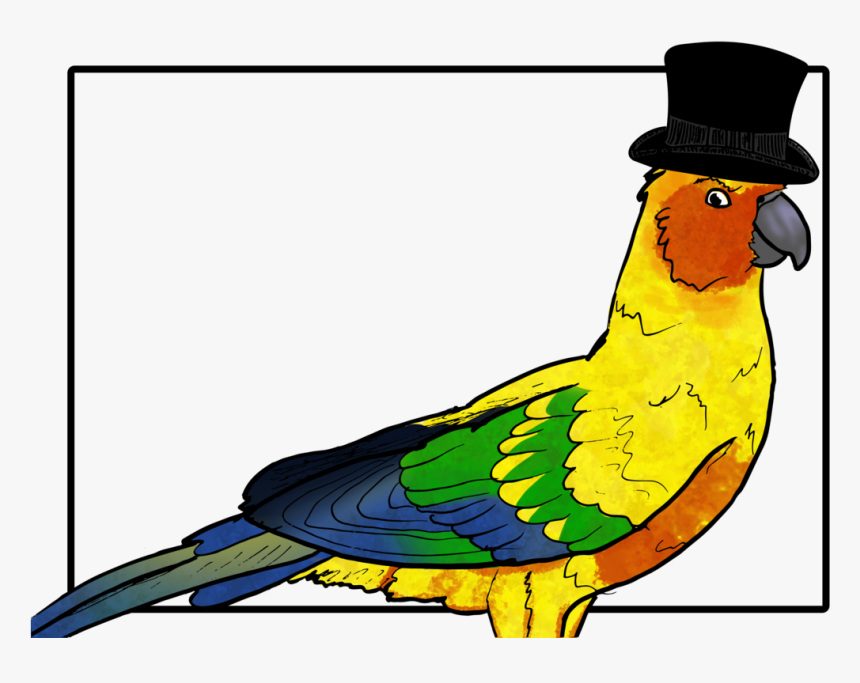 Image Black And White Download Birb Drawing Conure - Parakeet, HD Png Download