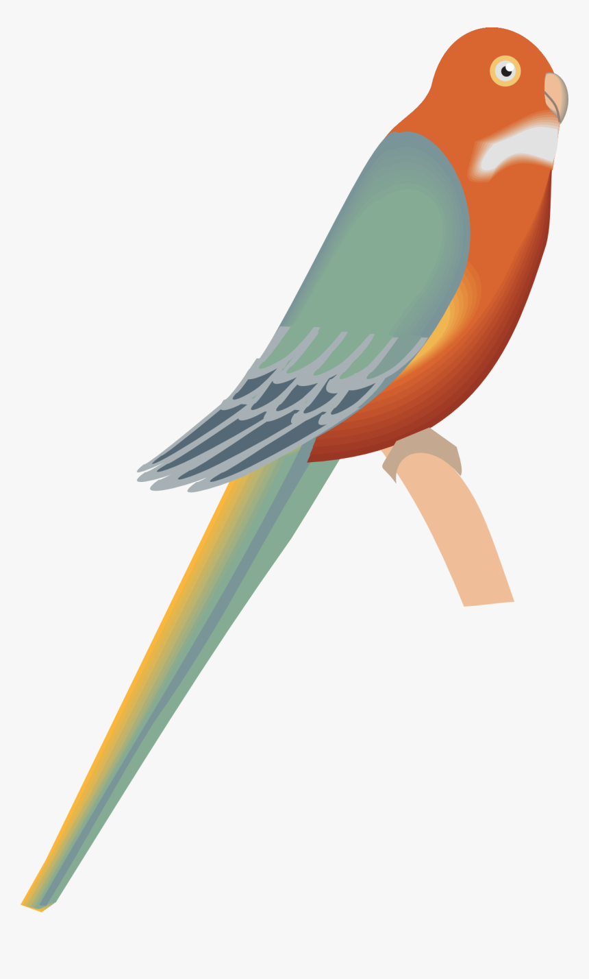 Clip Art, HD Png Download