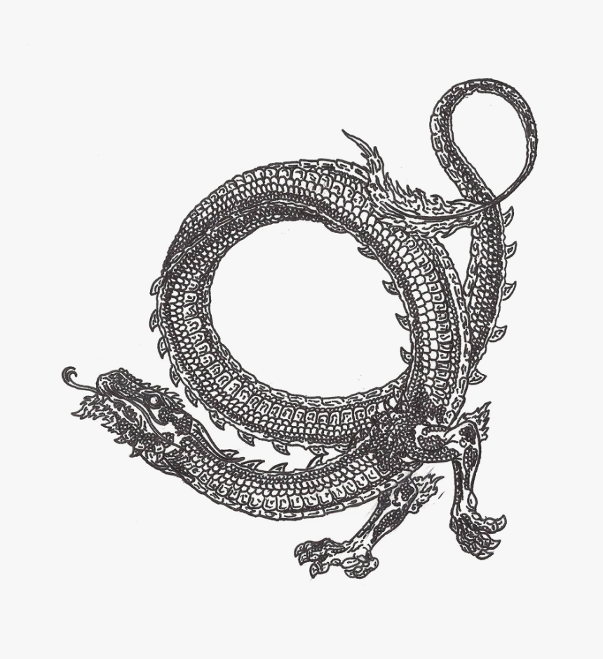 Circle Dragon Tattoos, HD Png Download