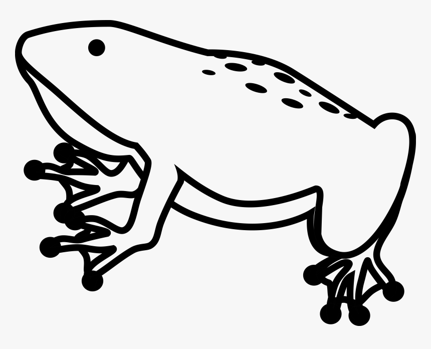 Toad, HD Png Download
