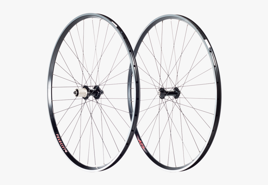 Bicycle Tire, HD Png Download