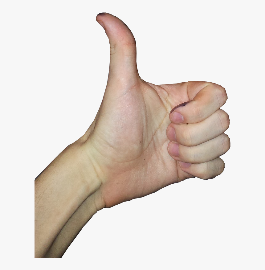 The Fact That You Had To Bring Up That She S A Female, HD Png Download