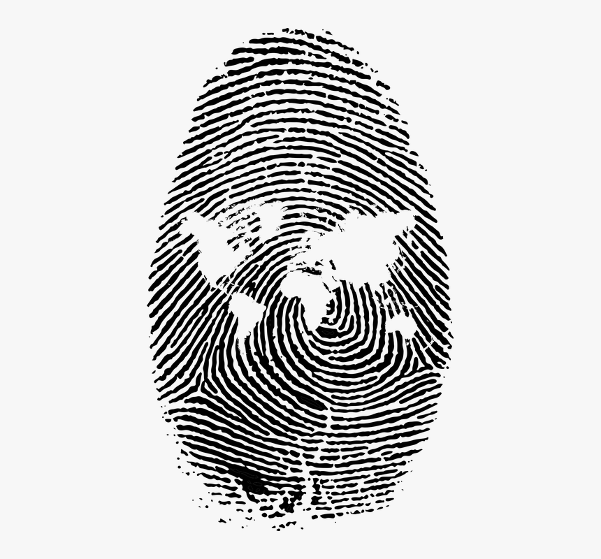 Fingerprint, World, Map, Swirls, Pattern, Unique, Id - Transparent Background Fingerprint Png, Png Download