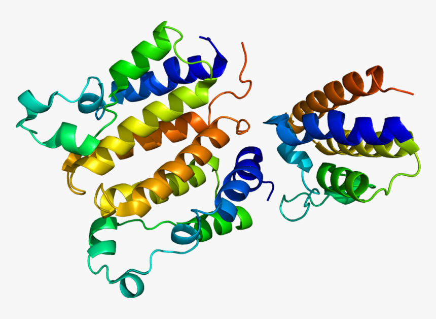 Protein Brd2 Pdb 1x0j, HD Png Download
