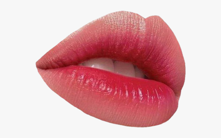 Image - Lip Gloss, HD Png Download