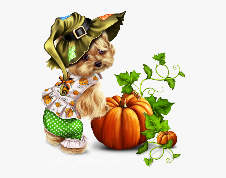 Little Pumpkin Yorkie - Yorkie Thanksgiving Clipart, HD Png Download
