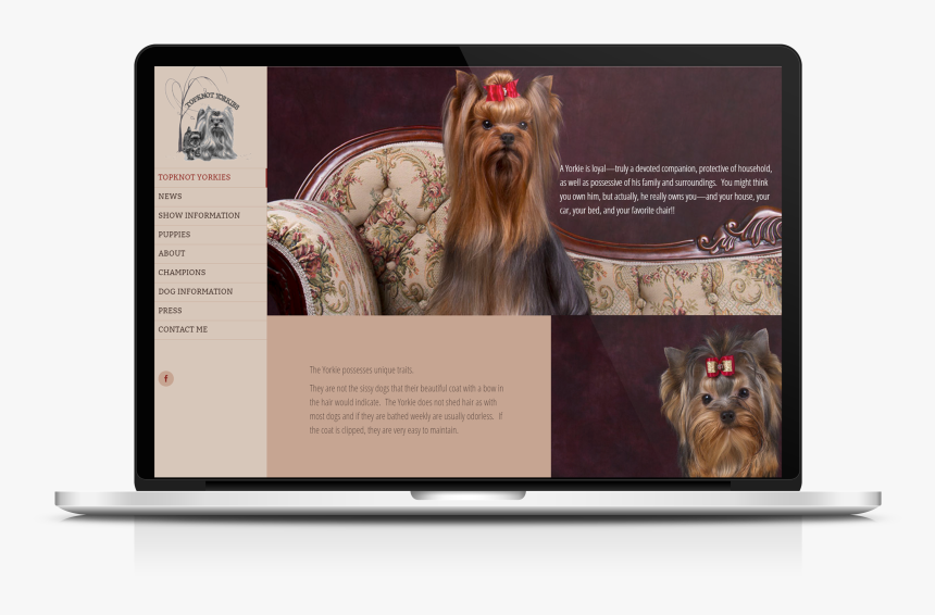 Yorkshire Terrier, HD Png Download