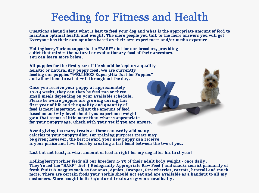 Document, HD Png Download