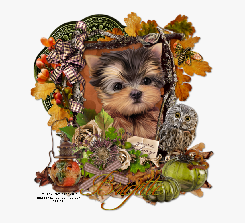 Yorkies Clipart Brown Puppy - Thanksgiving Yorkie, HD Png Download