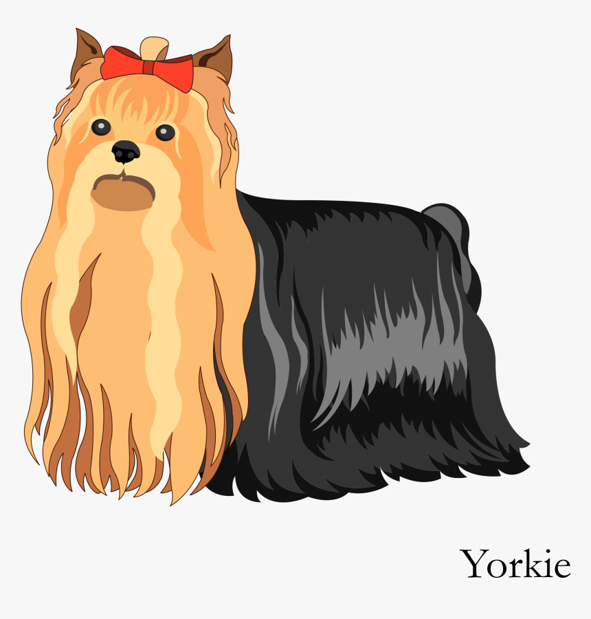 Transparent Yorkie Clipart - Australian Silky Terrier Vector, HD Png Download