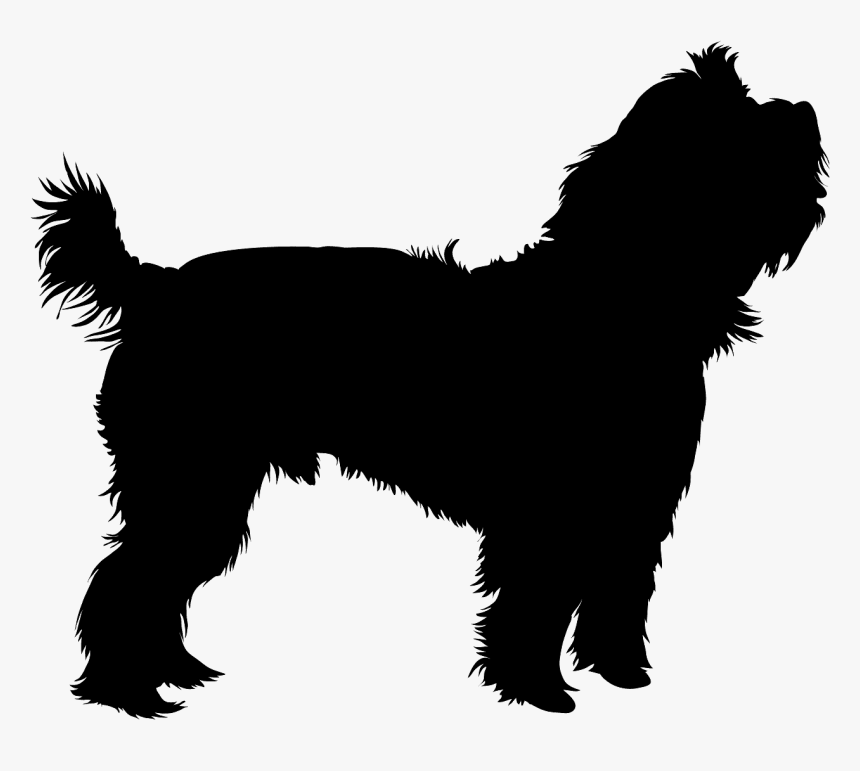 Yorkie Silhouette Vector, HD Png Download
