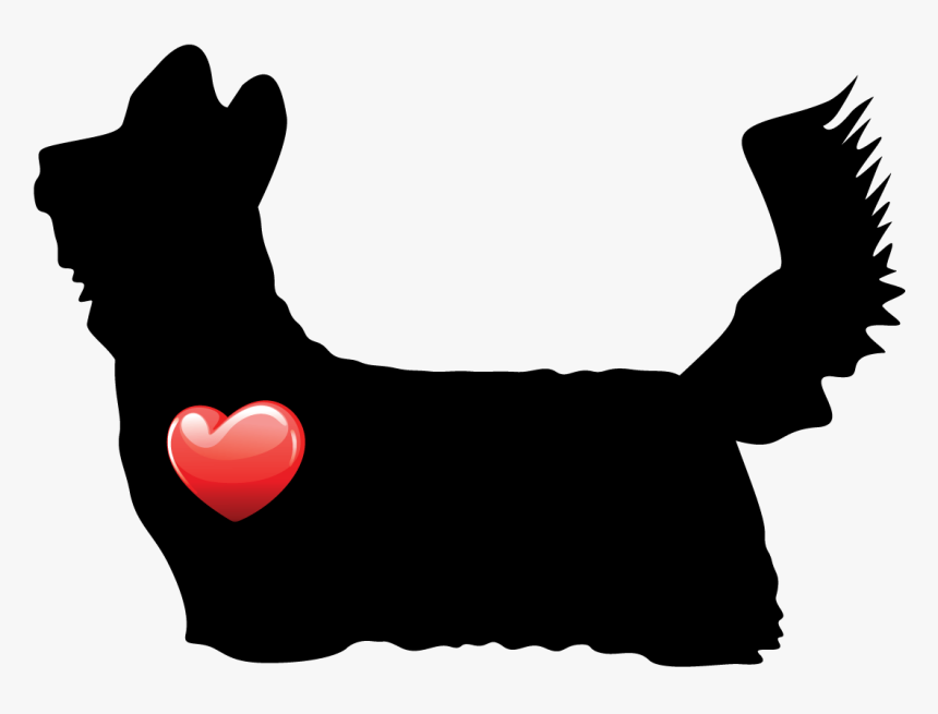 Small Terrier, HD Png Download