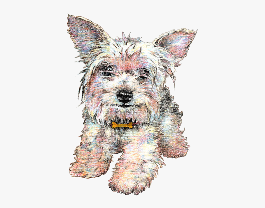 Australian Terrier, HD Png Download